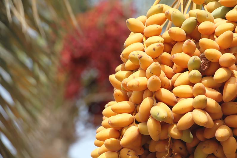محاضرة بعنوان مصارف الزكاة