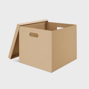 Box with handle