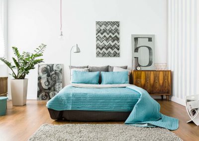 مساكن الربوة الجديدة